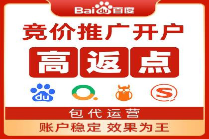 优化SEM竞价策略：成功案例剖析